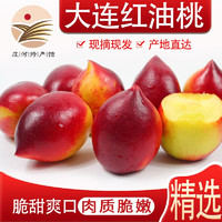 鲜姿 尖油桃 大果4.7斤（7-9个/斤）