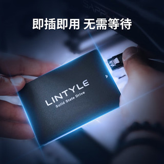 LINTYLE 凌态 X12 512G 固态硬盘SATA3.0