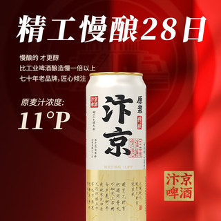 汴京 全麦芽精酿 11度原浆啤酒 330ML罐装精酿啤酒 330mL 2罐 双瓶装