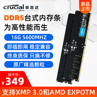 Crucial 英睿达 DDR5 5600 16G 台式内存条_5600MHz