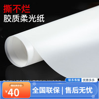 苏奔 强光线柔和 摄影硫酸纸