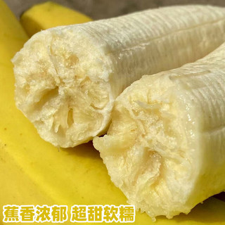 佳农（Goodfarmer）佳农甜香蕉当季新鲜水果软香甜banana芭蕉孕妇新鲜水果 9斤实惠装