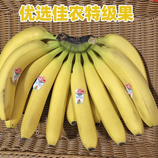 佳农（Goodfarmer）佳农甜香蕉当季新鲜水果软香甜banana芭蕉孕妇新鲜水果 9斤实惠装