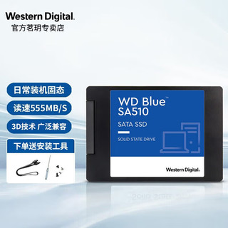 西部数据 蓝盘 SATA 固态硬盘 250GB (SATA3.0) WDS250G2B0A