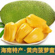 南业果 海南三亚菠萝蜜 20-24斤