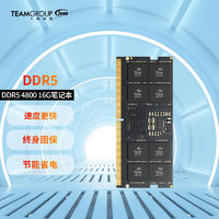 Team 十铨 笔记本内存条 DDR5 4800MHz 16GB
