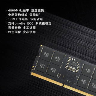 Team 十铨 笔记本内存条 DDR5 4800MHz 16GB