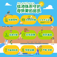 Zespri 佳沛 黄心猕猴桃金奇异果 8粒