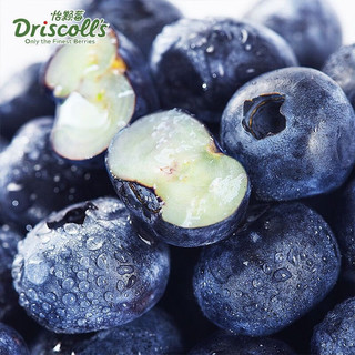 怡颗莓 Driscoll's 云南蓝莓 当季新鲜蓝莓 水果生鲜 酸甜口感 云南当季125g*1盒