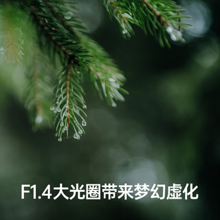 SIGMA 适马 Art 50mm F1.4 DG DN 全画幅微单 大光圈定焦镜头 人像肖像（L卡口）