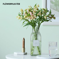 PLUS会员：FlowerPlus 花加 优选水养鲜花 香槟色六出花10枝