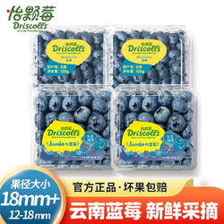 怡颗莓 当季云南蓝莓   14mm125g*6盒