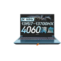 COLORFUL 七彩虹 将星X15AT 15.6英寸笔记本电脑（i7-13700HX、16GB、1TB、RTX4060）