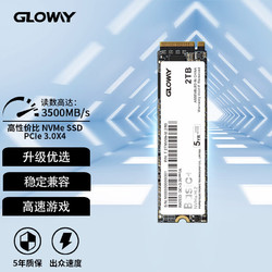 GLOWAY 光威 2TB SSD固态硬盘 M.2接口(NVMe协议) PCIe 3.0 Basic+ 读速高达3500MB/s