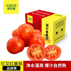 GREER 绿行者 红又红番茄品牌果5斤大西红柿子新鲜蔬菜孕妇水果生吃