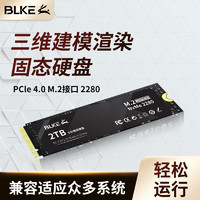 BLKE 三维设计建模渲染台式机主机SSD固态硬盘m.2接口NVMe协议PCIe 4.0办公储存硬盘 三维建模渲染专用SSD固态硬盘 2TB(带缓存)