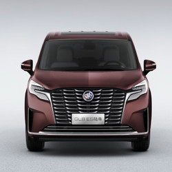 BUICK 别克 GL8 ES 陆尊 653T 舒适型 碧玺棕