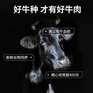 FRESH·FOUR SEASONS 淳鲜四季 X 京东 牛排原切和牛M5肉芯1.2kg 谷饲400天