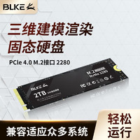 BLKE 三维设计建模渲染台式机主机SSD固态硬盘m.2接口NVMe协议PCIe 4.0办公储存硬盘 三维建模渲染专用SSD固态硬盘 2TB