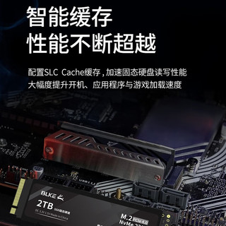 BLKE SSD固态硬盘m.2接口（NVMe协议）PCIe 4.0台式电脑笔记本电脑/ps5固态硬盘 M.2固态硬盘 1TB