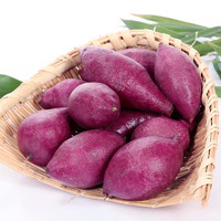 乡语小吖山东紫薯 带箱9斤 新鲜蔬菜 现挖紫薯 紫罗兰 紫心 紫地瓜 生鲜