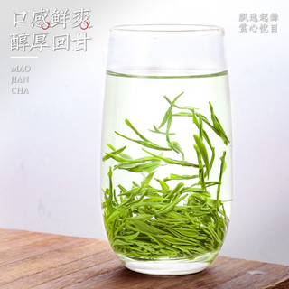 陈一凡 嫩芽毛尖绿茶 500g