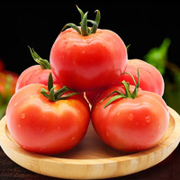 乡语小吖 山东普罗旺斯西红柿5斤礼盒 新鲜蔬菜 现摘 沙瓤 生吃番茄 生鲜