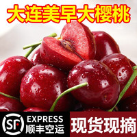 乡语小吖大连美早樱桃 2斤XL装 果经24-26mm 国产大樱桃时令新鲜水果 生鲜