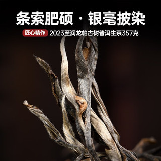 宫明茶叶 2023年至润系列头春头采 龙帕古树茶 高端普洱茶生茶饼 生普 2023年 龙帕古树茶 357g * 1饼