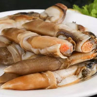 乡语小吖 蛏王纯肉2斤 新鲜海鲜鲜活冷冻竹节蛏现剥去沙囊蛏子肉 生鲜