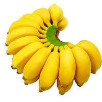 张小壮香蕉 广西小米蕉  芭蕉 新鲜水果 生鲜 生果需催熟 小香蕉 精选9斤装