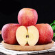 PLUS会员：京东生鲜 陕西洛川红富士苹果 75-80mm 9斤装