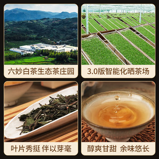 六妙白茶福鼎白茶一级炭焙贡眉2021年茶叶散茶送礼品盒装260g 一盒260g