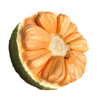 乡语小吖新鲜红肉菠萝蜜 10-12斤整个带皮榴莲蜜波罗蜜 当季新鲜水果生鲜