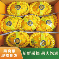 乡语小吖海南麒麟燕窝果 4斤精品礼盒装单果5-6两 新鲜热带水果麒麟果生鲜