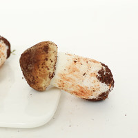 乡语小吖 云南新鲜姬松茸2斤装 新鲜鲜货菌菇食材新鲜蘑菇煲汤食材蔬菜