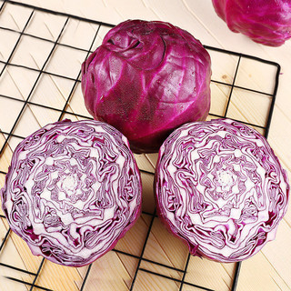 乡语小吖新鲜紫甘蓝 2-3斤 紫色圆包菜大头菜 轻食沙拉蔬菜 京东生鲜