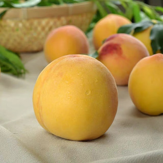 乡语小吖现摘黄桃 1斤120g-150g 黄金毛桃 黄肉桃子顺丰 当季新鲜水果生鲜
