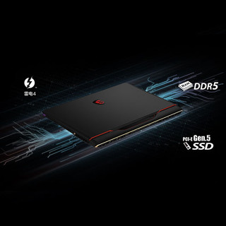 MSI 微星 泰坦GE78HX 十三代酷睿版 17英寸 游戏本