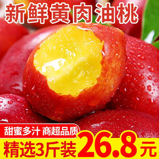 鲜火新鲜黄心油桃5斤大桃子新鲜水果蜜桃子黄肉桃子 精选3斤装