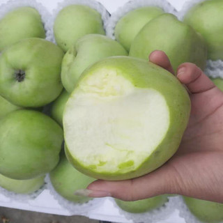 乡语小吖正宗印度青苹果 8斤80-85mm 老式丑苹果印冬青苹果 新鲜水果生鲜