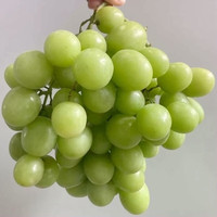 攸竹澳洲智利棉花糖葡萄 甜地球青提 无籽秋天脆脆甜无籽提子水果孕妇 4斤