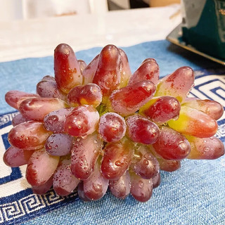 乡语小吖东北茉莉香葡萄 4斤 郁金玫瑰香葡萄红提子 当季新鲜水果生鲜