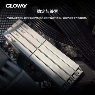 GLOWAY 光威 32G  DDR4 3200MHz 台式机内存