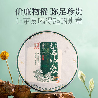 2023年陈升号班章印象普洱茶生茶357g普洱生茶饼茶叶