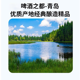 瑞井精酿啤酒白啤鲜啤原浆小麦纯生鲜扎啤艾尔超大瓶桶装青岛崂山特产 精酿白啤2L*1桶