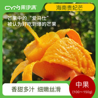 果伊满海南三亚贵妃芒果红金龙8成树上熟香甜多汁生鲜当季超甜新鲜水果 中果(100-150g起)净重8.8斤