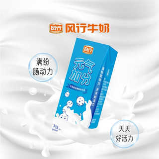 风行牛奶 乳酸菌发酵酸奶饮品200mL*12盒*2箱 礼盒装