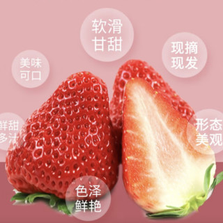 鲜姿 丹东99 红颜草莓 1.5kg