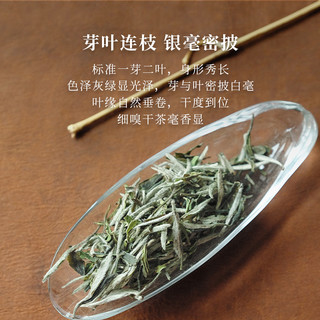 「春茶上新」梨白福鼎白茶特级白牡丹北路明前2023新茶叶散茶300g